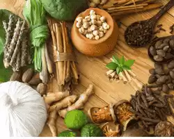 Ayurvedic Therapy